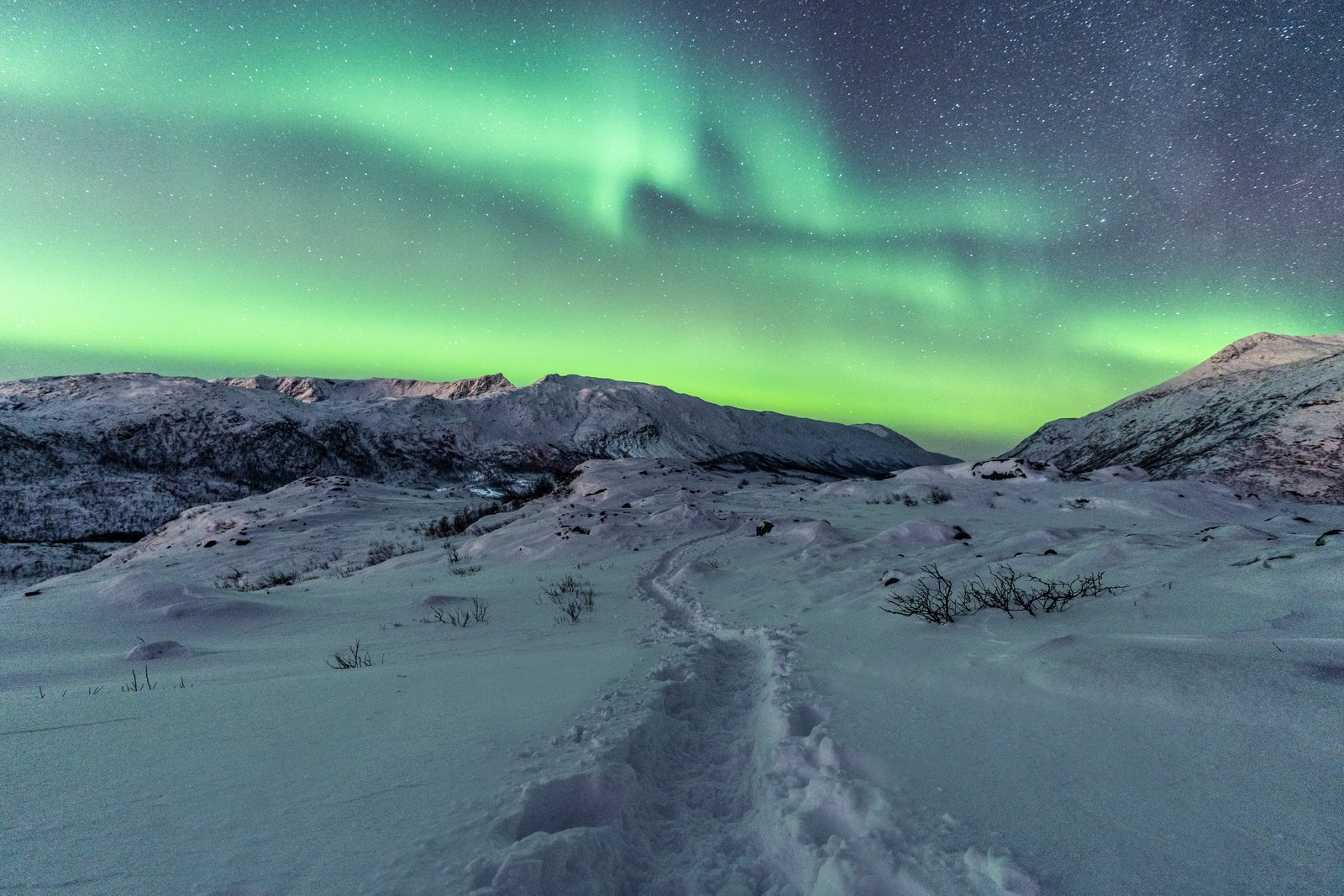Aurora Borealis landscape